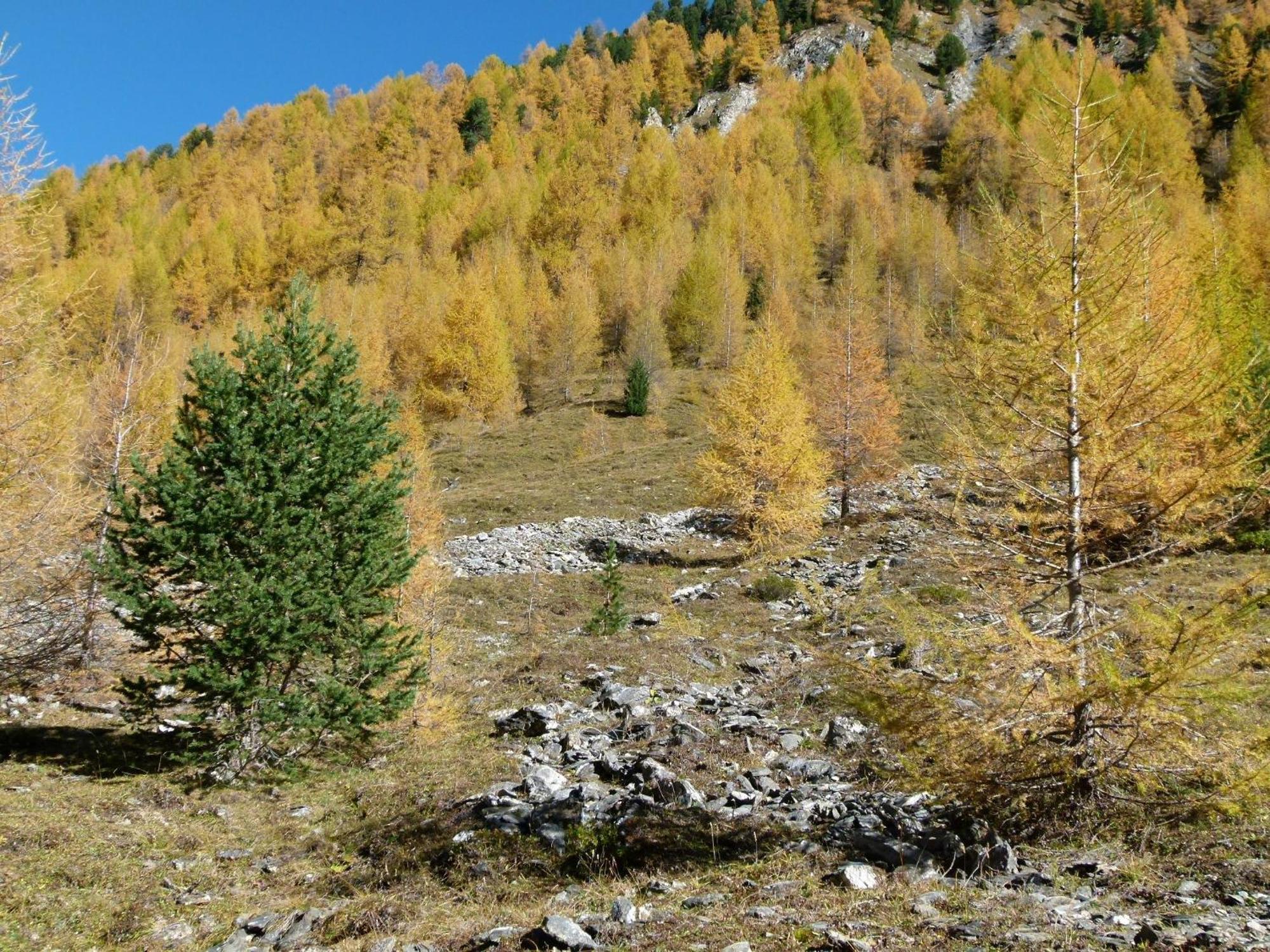 Apart-Garni Motnaida Samnaun Buitenkant foto