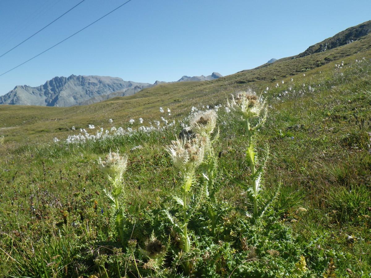 Apart-Garni Motnaida Samnaun Buitenkant foto