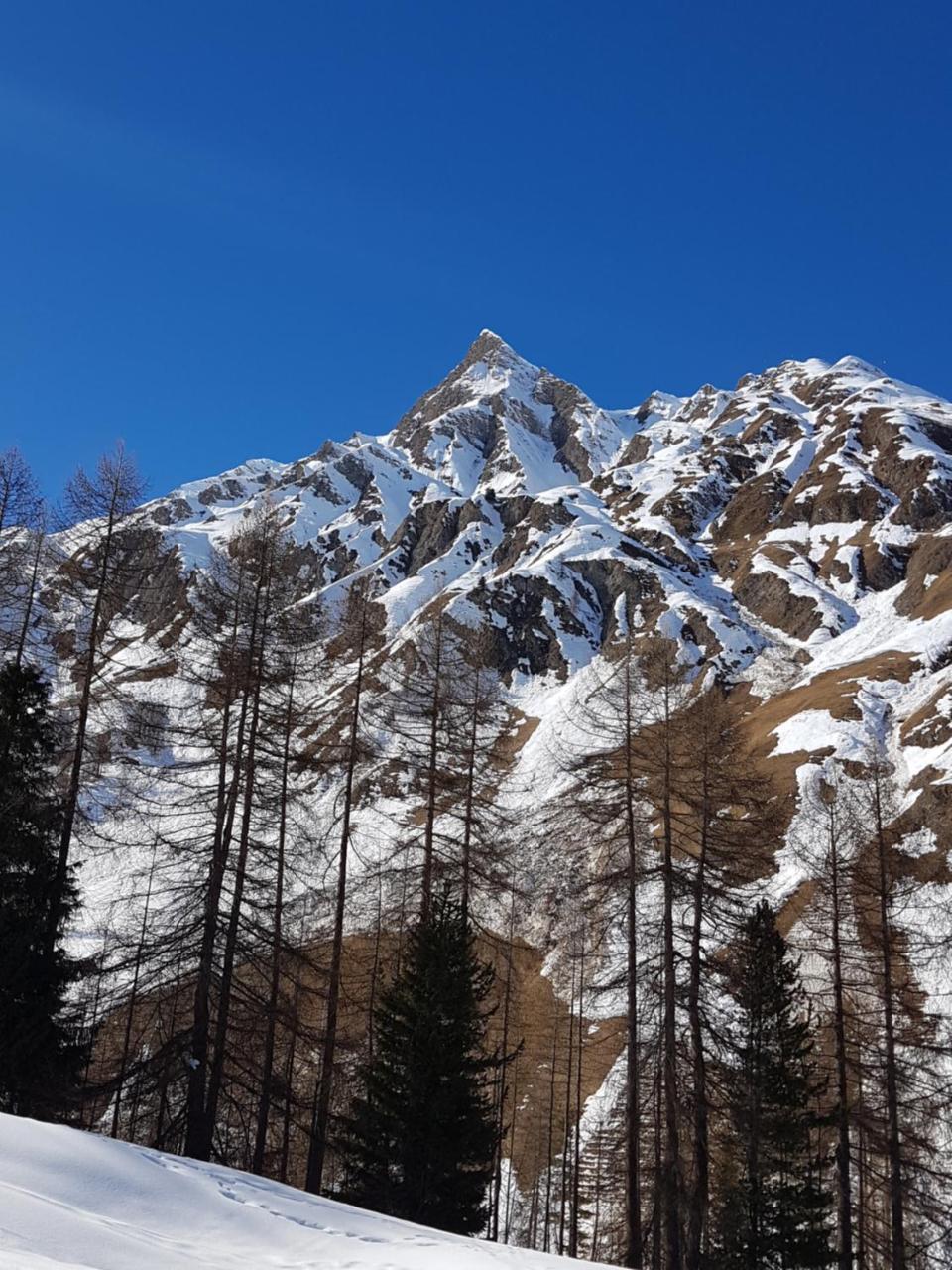 Apart-Garni Motnaida Samnaun Buitenkant foto